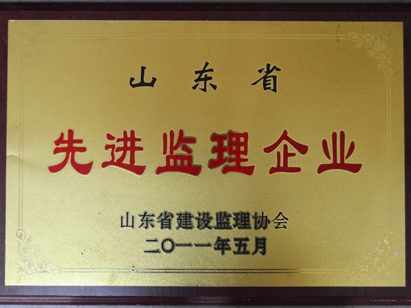 先進監(jiān)理企業(yè)